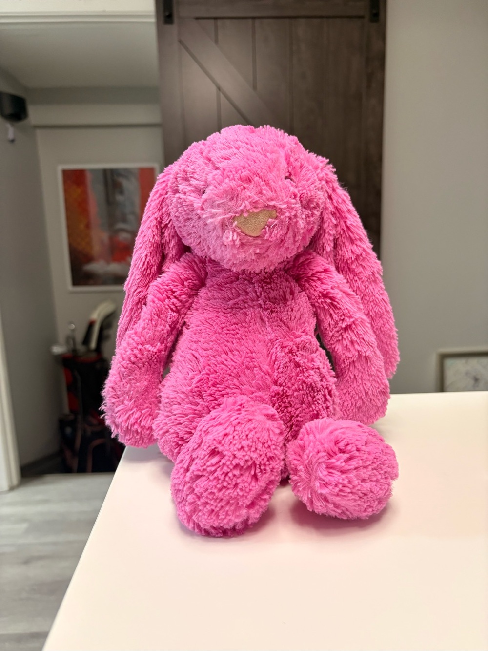 RETIRED Jellycat Hot Pink Bashful Bunny
